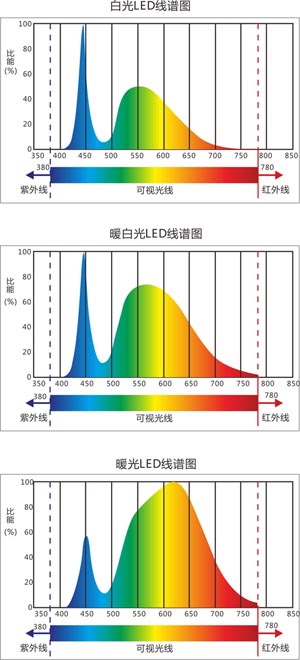 �׹����׹����׹�D�V